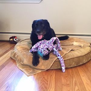 Meet your Posher, Lisa